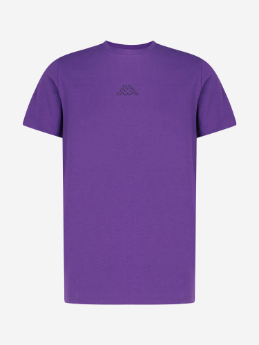 Футболка мужская Sport Logo