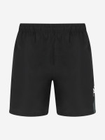 черный/серый